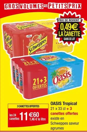 Promotion Exclusives de 1
Oasis tropical : Découvrez l'Offre incontournable