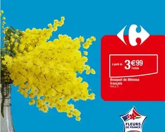 Bouquet de Mimosa français