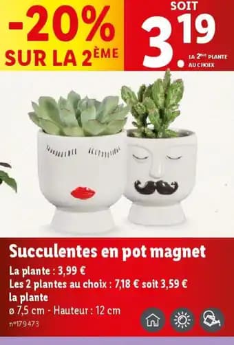 Promotion Exclusives de 32
En pot : Découvrez l'Offre incontournable