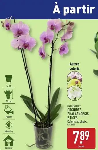 Promotion Exclusives de 3
Tiges : Découvrez l'Offre incontournable