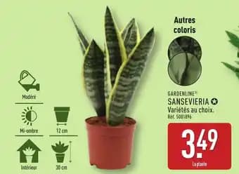 GARDENLINE® Sansevieria