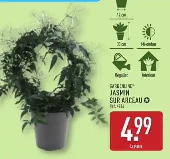 Promotion Exclusives de 4
Jasmin : Découvrez l'Offre incontournable