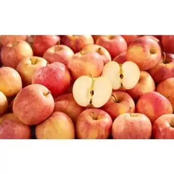 Promotion Exclusives de 1
Pomme gala : Découvrez l'Offre incontournable