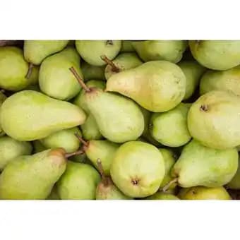 Promotion Exclusives de 9
            
        
        Poire : Découvrez l'Offre incontournable