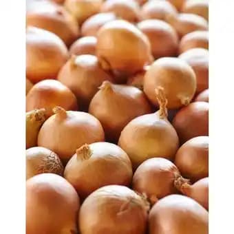 Promotion Exclusives de 30
Jaune : Découvrez l'Offre incontournable