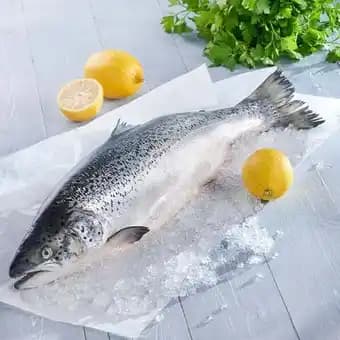 Saumon Atlantique entier ASC FILIERE QUALITE CARREFOUR