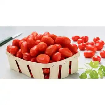 Promotion Exclusives de 13
Tomate : Découvrez l'Offre incontournable