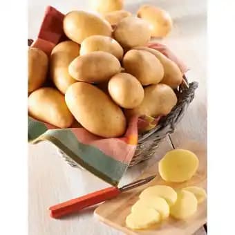 Promotion Exclusives de 20
De consommation : Découvrez l'Offre incontournable