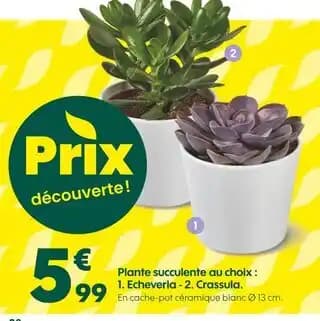 Promotion Exclusives de 9
Choix : Découvrez l'Offre incontournable