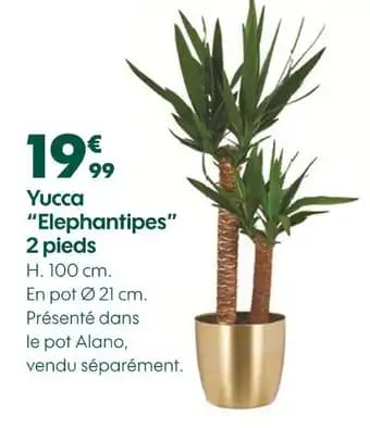 Promotion Exclusives de 13
Pieds : Découvrez l'Offre incontournable