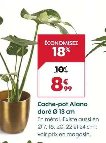 Promotion Exclusives de 5
Doré : Découvrez l'Offre incontournable