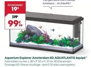 Promotion Exclusives de 1
Amsterdam : Découvrez l'Offre incontournable