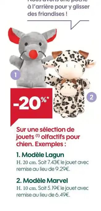Promotion Exclusives de 22
Chien : Découvrez l'Offre incontournable