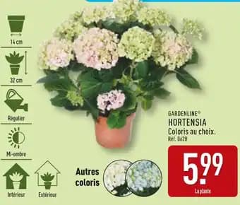Promotion Exclusives de 1
Hortensia : Découvrez l'Offre incontournable