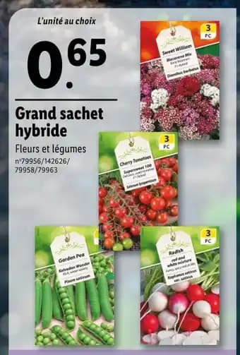 Promotion Exclusives de 3
Hybride : Découvrez l'Offre incontournable