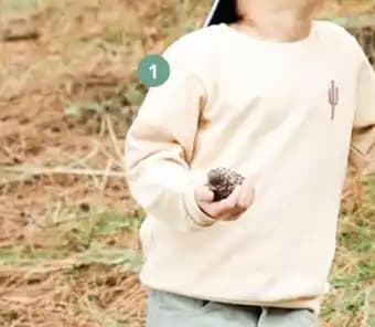 EAGLEWOOD Le sweat col rond