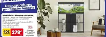 Promotion Exclusives de 10
Aquarium : Découvrez l'Offre incontournable