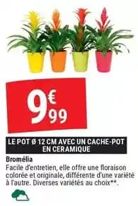 Promotion Exclusives de 4
Pot céramique : Découvrez l'Offre incontournable