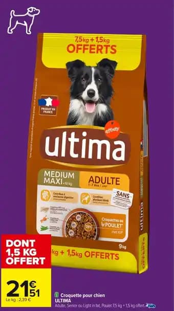 Promotion Exclusives de Croquette chien : Découvrez l'Offre incontournable