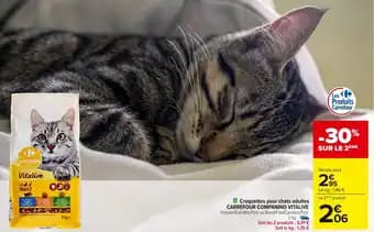 CARREFOUR COMPANINO VITALIVE Croquettes pour chats adultes 2 kg