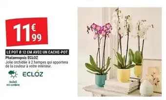 Promotion Exclusives de 13
Ecloz : Découvrez l'Offre incontournable