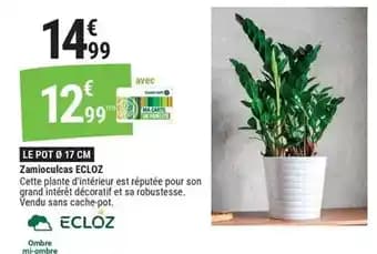 Promotion Exclusives de 14
Ecloz : Découvrez l'Offre incontournable