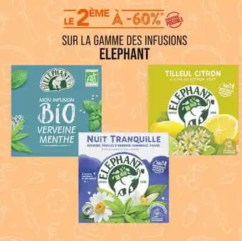 Promotion Exclusives de 6
Éléphant : Découvrez l'Offre incontournable