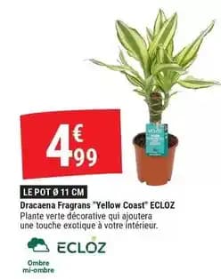Promotion Exclusives de 15
Ecloz : Découvrez l'Offre incontournable