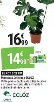 Promotion Exclusives de 19
Monster : Découvrez l'Offre incontournable