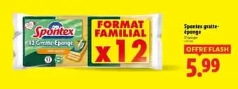 SPONTEX Gratte-éponge