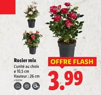 Promotion Exclusives de 25
Mix : Découvrez l'Offre incontournable