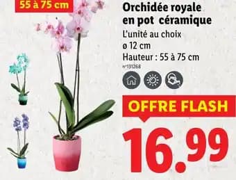 Promotion Exclusives de 35
Pot : Découvrez l'Offre incontournable