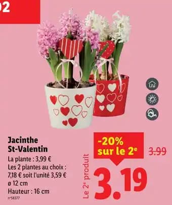 Jacinthe St-Valentin