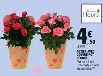 Promotion Exclusives de 6
Couvre : Découvrez l'Offre incontournable