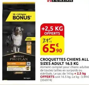 Promotion Exclusives de 17
Chiens : Découvrez l'Offre incontournable