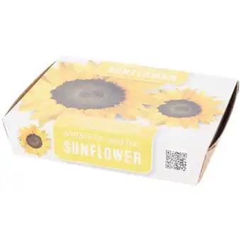 Promotion Exclusives de 9
Prêt : Découvrez l'Offre incontournable