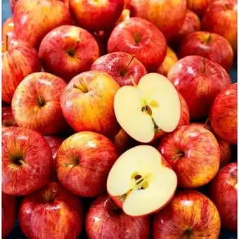 Pomme Gala FILIÈRE QUALITÉ CARREFOUR