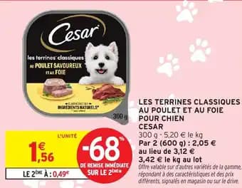 Promotion Exclusives de 27
Chien : Découvrez l'Offre incontournable