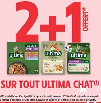 ULTIMA CHAT Sur tout