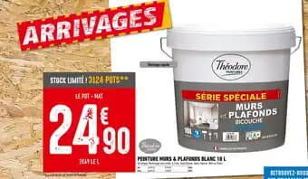 Promotion Exclusives de Théodore peinture : Découvrez l'Offre incontournable