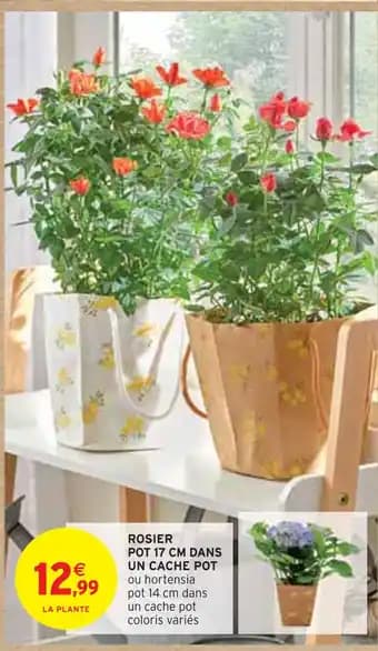 Promotion Exclusives de 8
Cache : Découvrez l'Offre incontournable