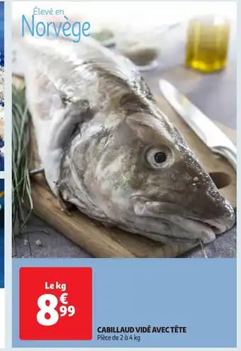 Promotion Exclusives de 7
Vide : Découvrez l'Offre incontournable