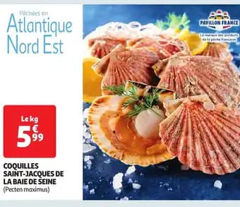 Promotion Exclusives de 4
Baie : Découvrez l'Offre incontournable