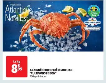 Promotion Exclusives de 2
Araignée : Découvrez l'Offre incontournable