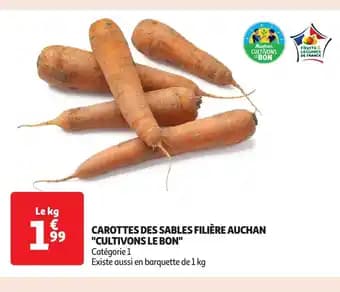 Promotion Exclusives de 11
Sablés : Découvrez l'Offre incontournable