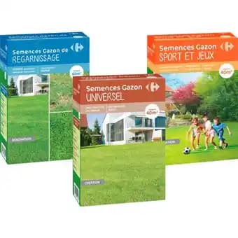 CARREFOUR SUR TOUS LES GAZONS