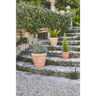 CARREFOUR Pot terre cuite Volterra