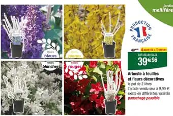 Arbuste à feuilles et fleurs décoratives