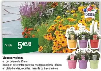 Promotion Exclusives de 1
Vivaces : Découvrez l'Offre incontournable