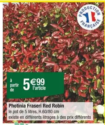 Promotion Exclusives de 1
Photinia : Découvrez l'Offre incontournable